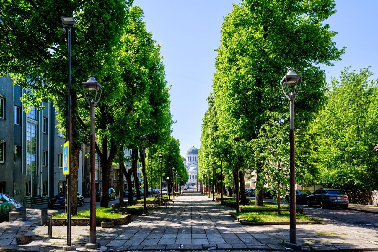 Kaunas City Center Deluxe Buitenkant foto